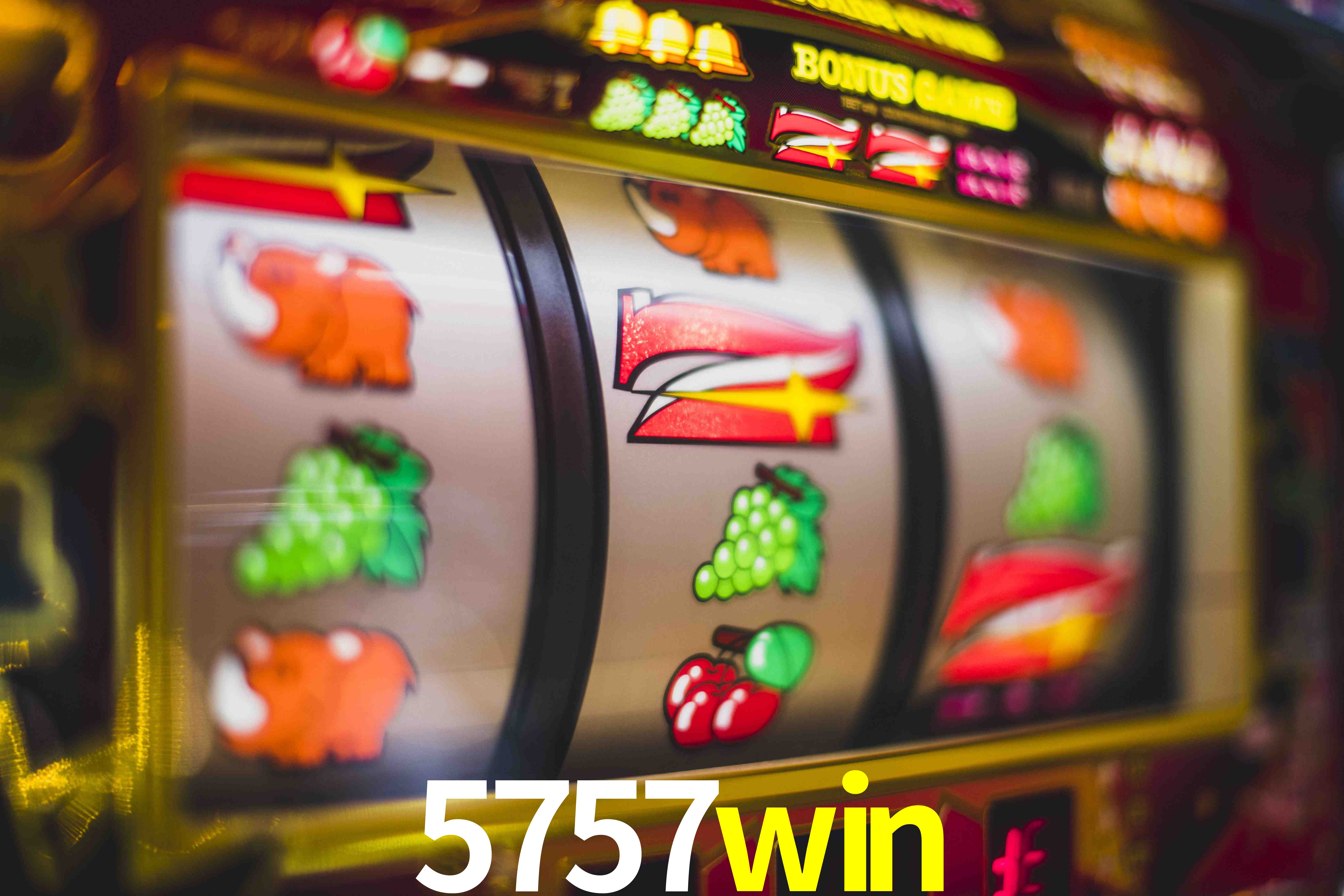 Basketball Betting 5757win