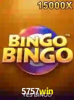 bingobingo